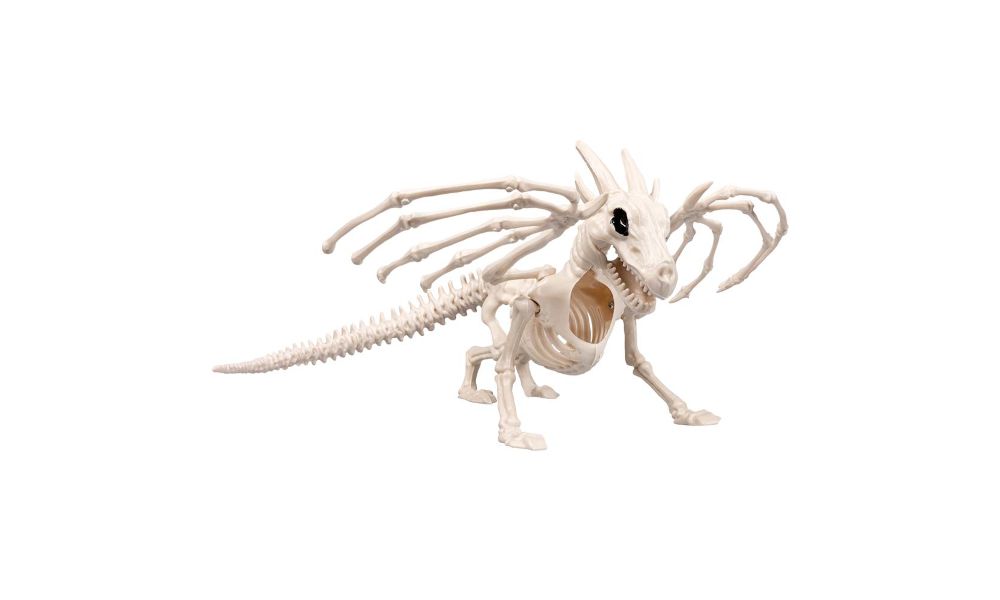 Dragon skeleton (37 cm)