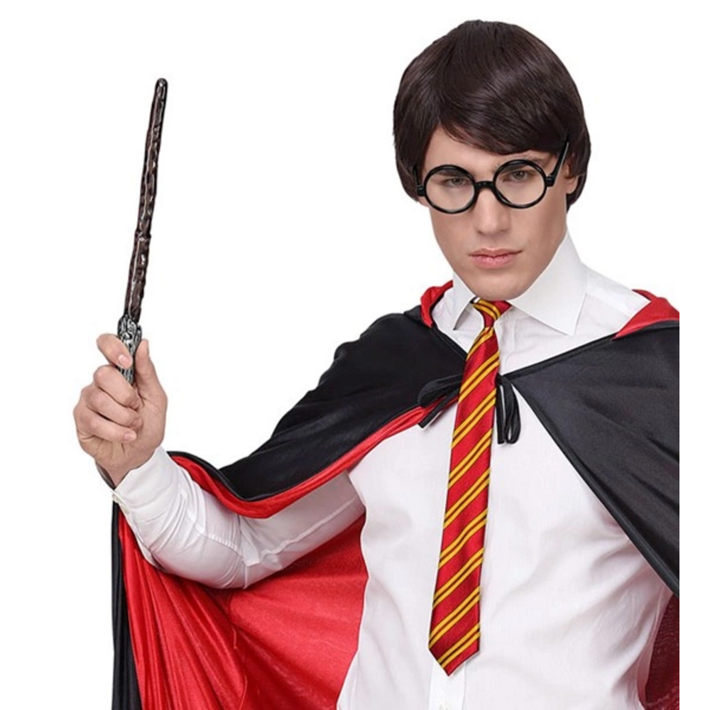 WIZARD APPRENTICE  (student glasses with lenses, tie, magic wand)