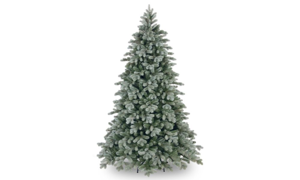 Frosted Colorado Spruce Tree 210 cm